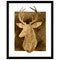 White Tail Bust II Framed Print