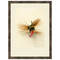 Macro Lures IV Framed Print