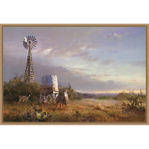 Plains Life Framed Canvas