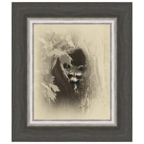 Raccoon Framed Canvas