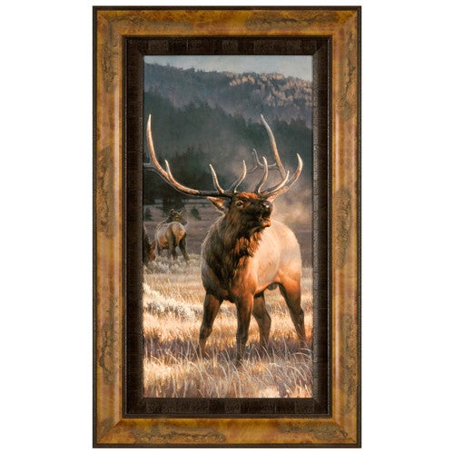 Rocky Mountain Meadow Framed Canvas