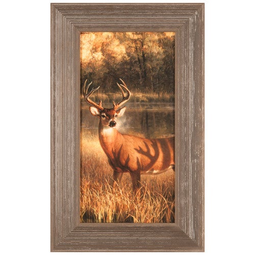 Shadow Time Framed Canvas
