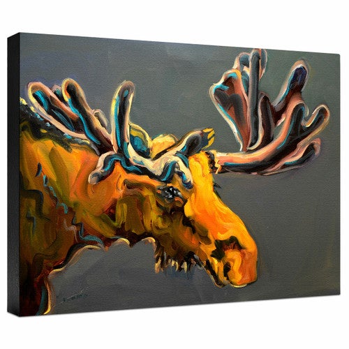 Spring Bull Gallery Wrapped Canvas