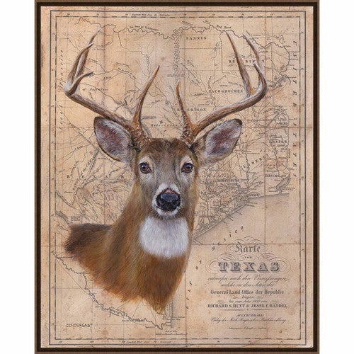 Texan Buck Framed Canvas