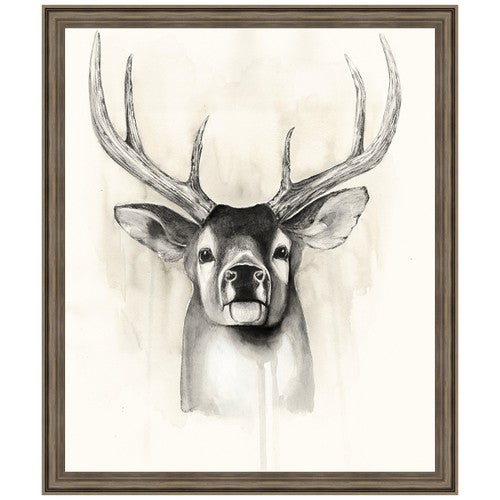 Timberland Animals II Framed Print