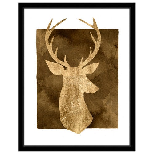 White Tail Bust I Framed Print