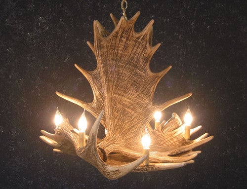 Moose 4 Antler Chandelier - SALE