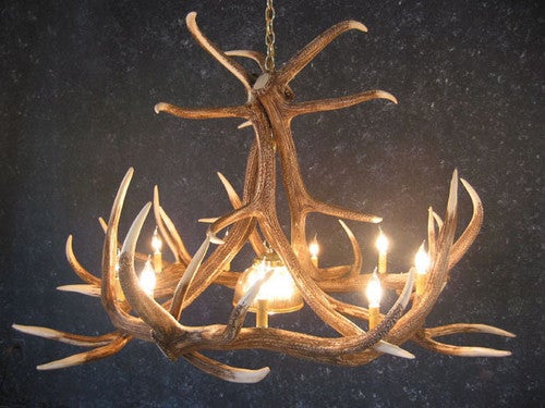 Elk Six Antler Chandelier w/ 1 Down Light - SALE