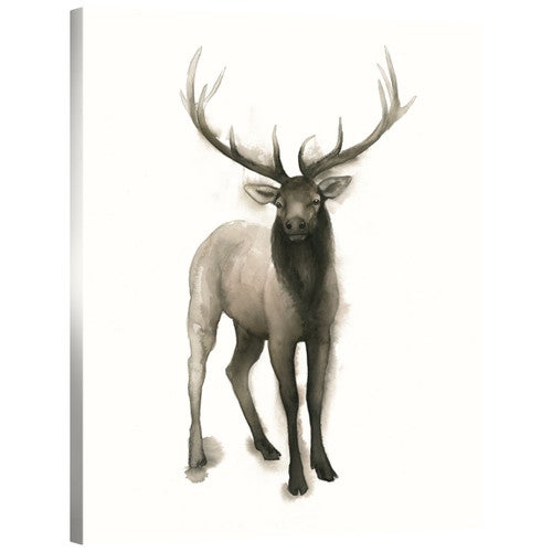 Custom Majestic Wildlife II Mirror Wrapped Canvas