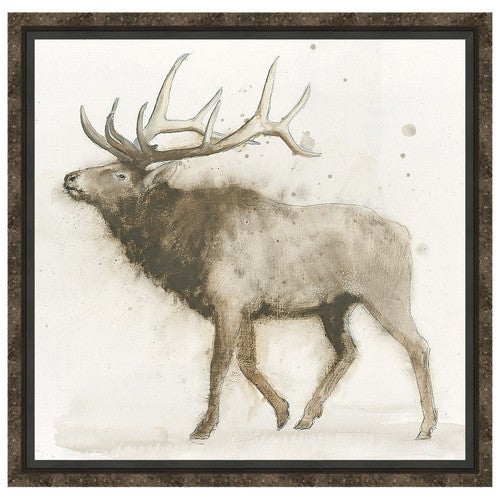 Elk 2 Framed Canvas