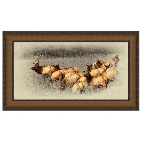 Elk Herd Framed Canvas