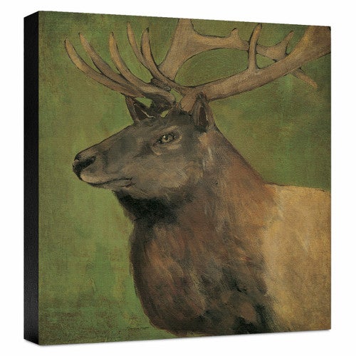 Green Elk Gallery Wrapped Canvas