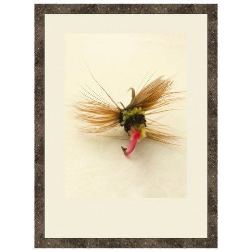 Macro Lures IV Framed Print