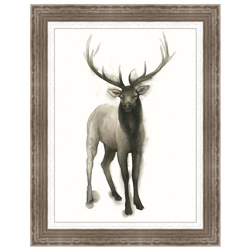 Majestic Wildlife II Framed Print