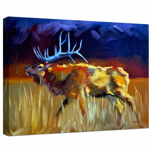 Meadow Bull Image Wrapped Canvas