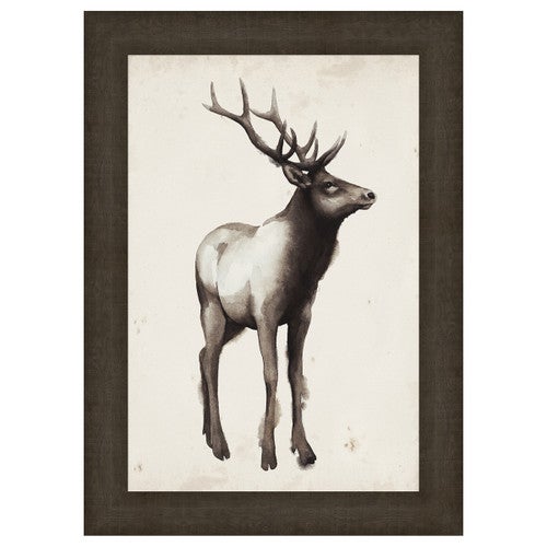 Northern Journey I Framed Print