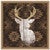 Precious Antlers II Framed Print