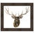 Single Elk Framed Canvas
