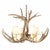 Mule Deer Antler Single Tier Chandelier - 4 Light