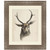 Watercolor Animal Study I with Mat Framed Print