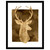 White Tail Bust I Framed Print
