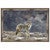 Yellowstone Coyote Framed Print