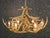 Whitetail 12 Antler Chandelier - SALE
