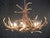 Elk 6 Antler Chandelier - SALE