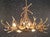 Elk Six Antler Chandelier w/ 3 Down Lights - SALE