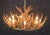 Whitetail 12 Antler Cascade Chandelier - SALE