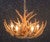 Whitetail 9 Antler Cascade Chandelier - SALE