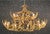 Whitetail 30 Antler Chandelier - SALE