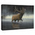 Elk in Barren Landscape Canvas Wall Art