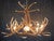Elk Six Antler Chandelier w/ 1 Down Light - SALE