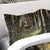 Autumn Forest Scene Duvet Sham
