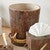 Buck Mountain Antler Waste Basket