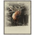 Bugling Elk Framed Canvas