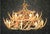 Whitetail 24 Antler Two Tier Chandelier - SALE