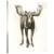 Custom Majestic Wildlife I Mirror Wrapped Canvas