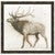 Elk 2 Framed Canvas