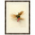 Macro Lures IV Framed Print