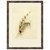 Macro Lures IX Framed Print