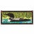 Rustic Loon Stained Glass Window